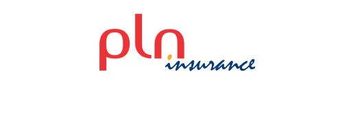 logo_PLN_c83059448b