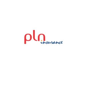 logo_PLN_500x500